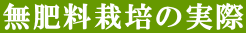 ���엿�͔|�̎���